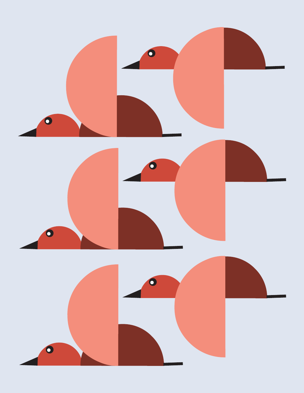 Rows of coral, gray and black birds in flight.